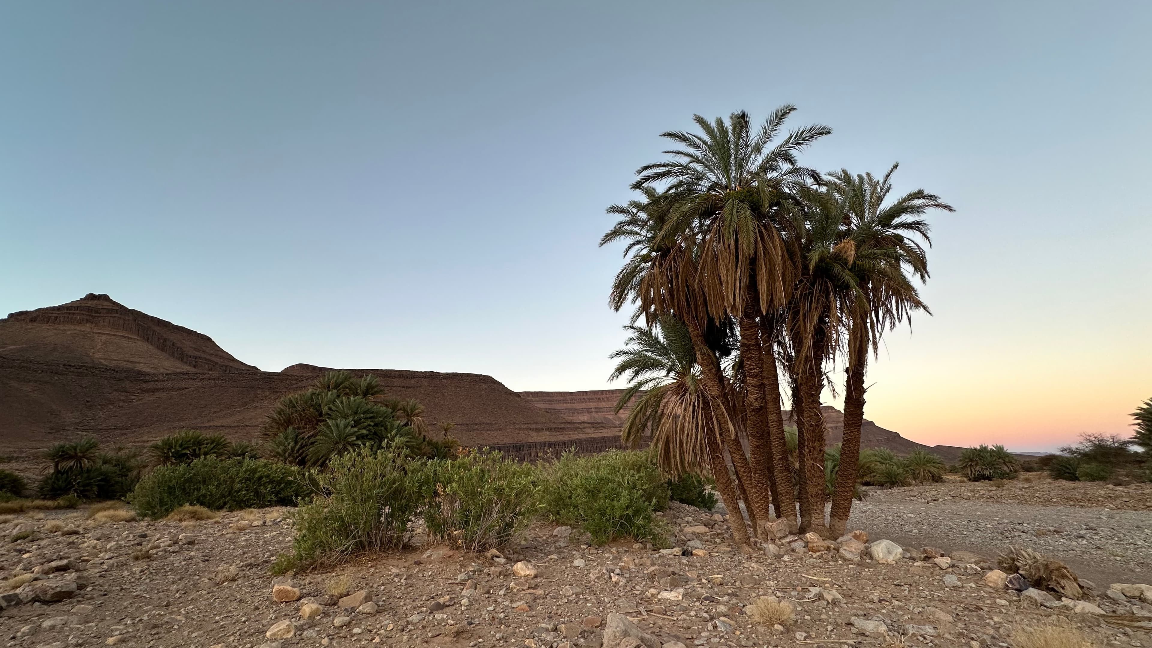 Solo Travel in the Sahara Desert: Everything You Need to Know