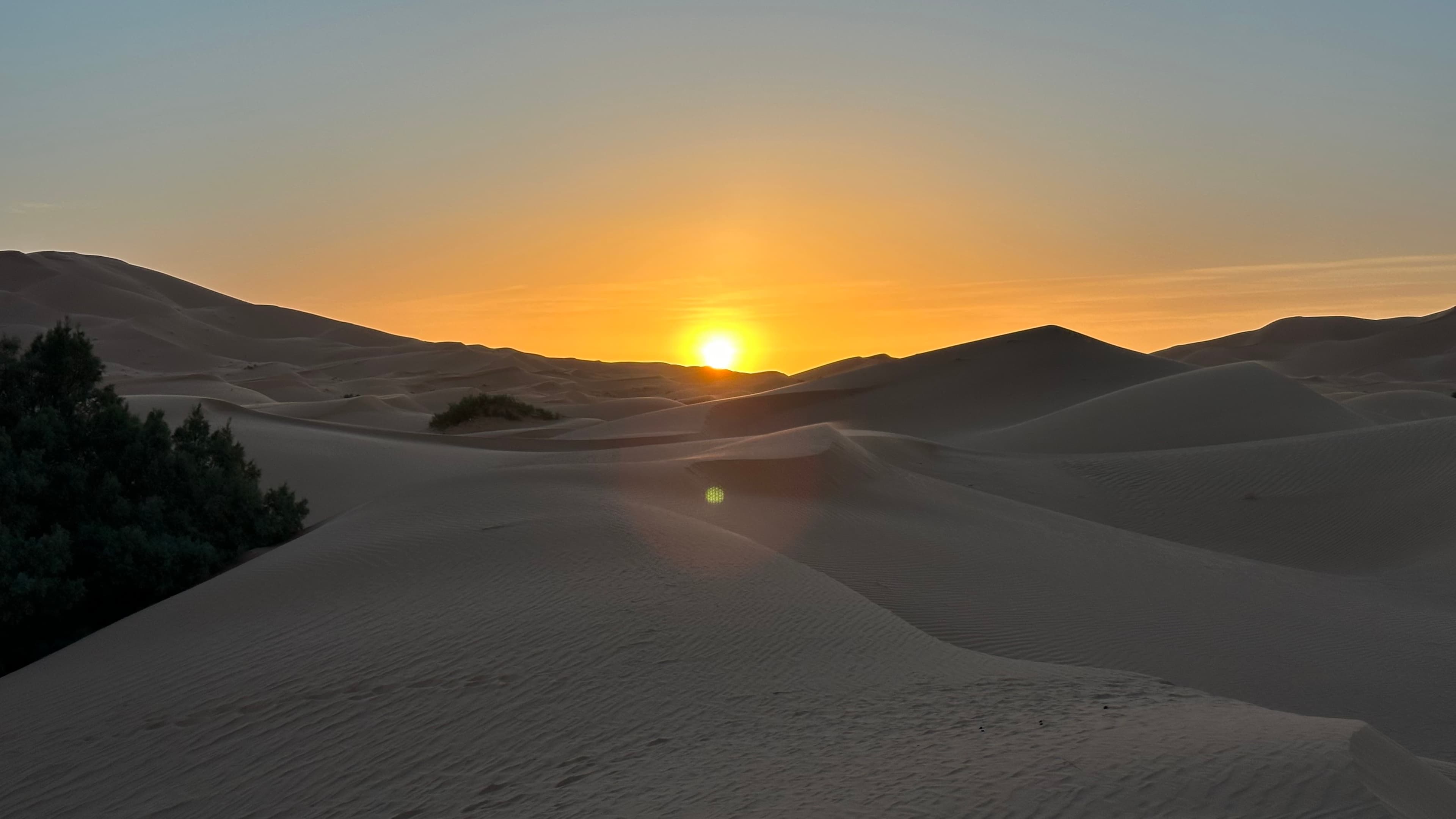 Sahara Desert gallery