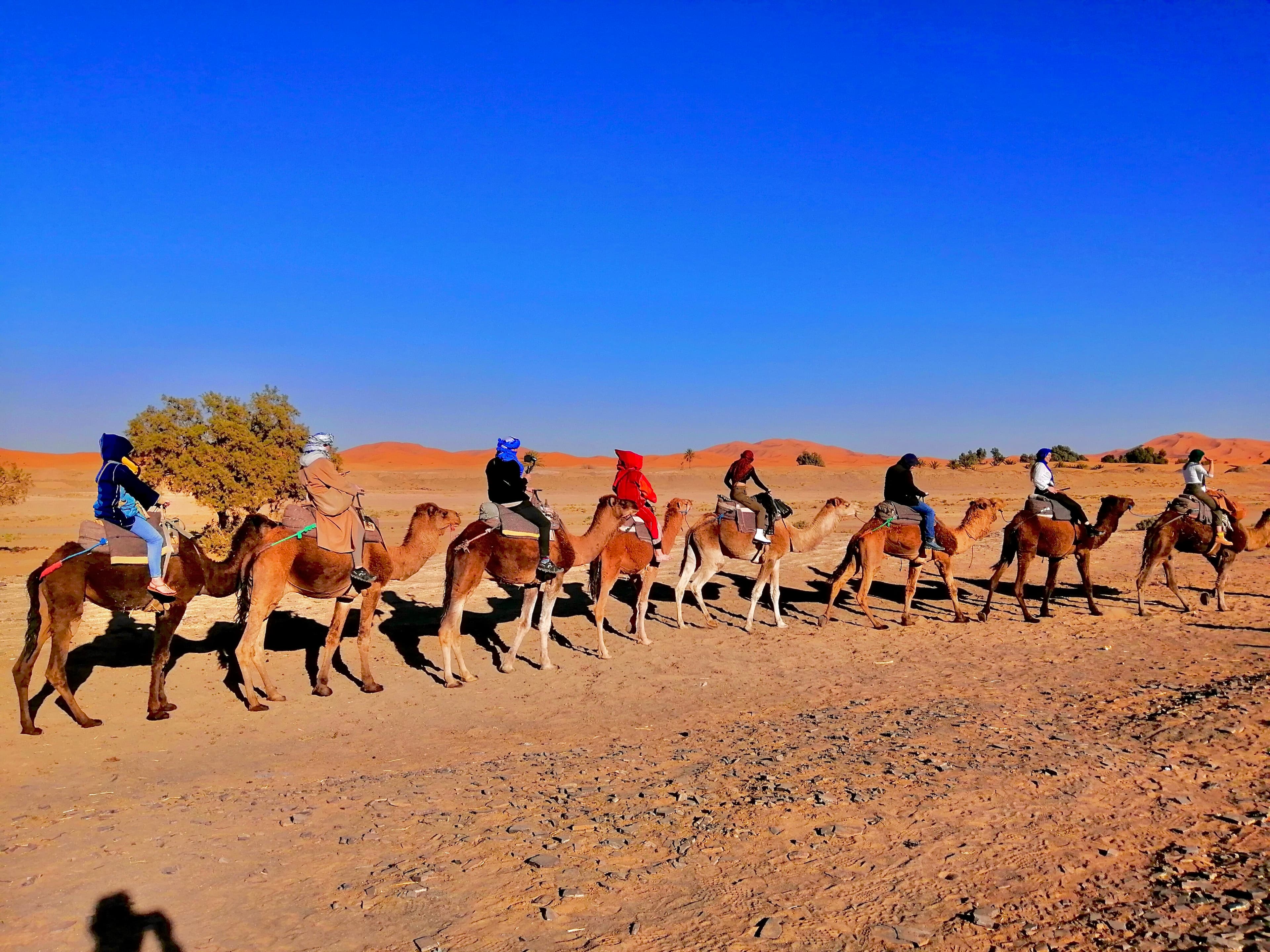 Sahara Desert landscape