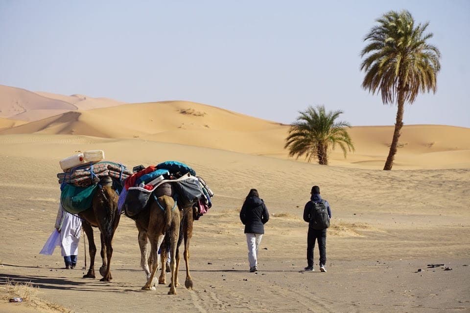 10 Things to Know Before Your First Sahara Desert Trip