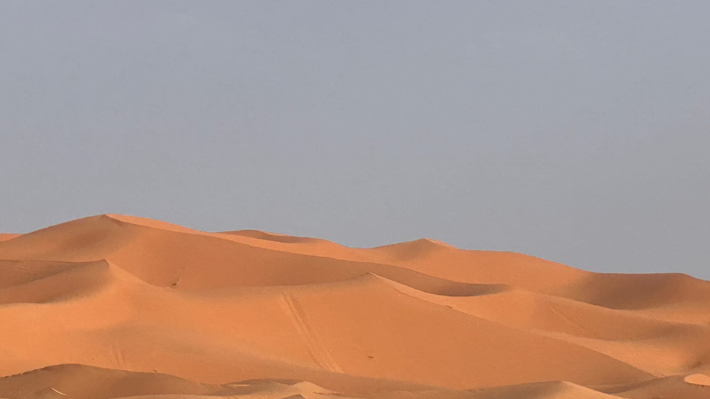 Soft golden dunes of the Sahara at first light