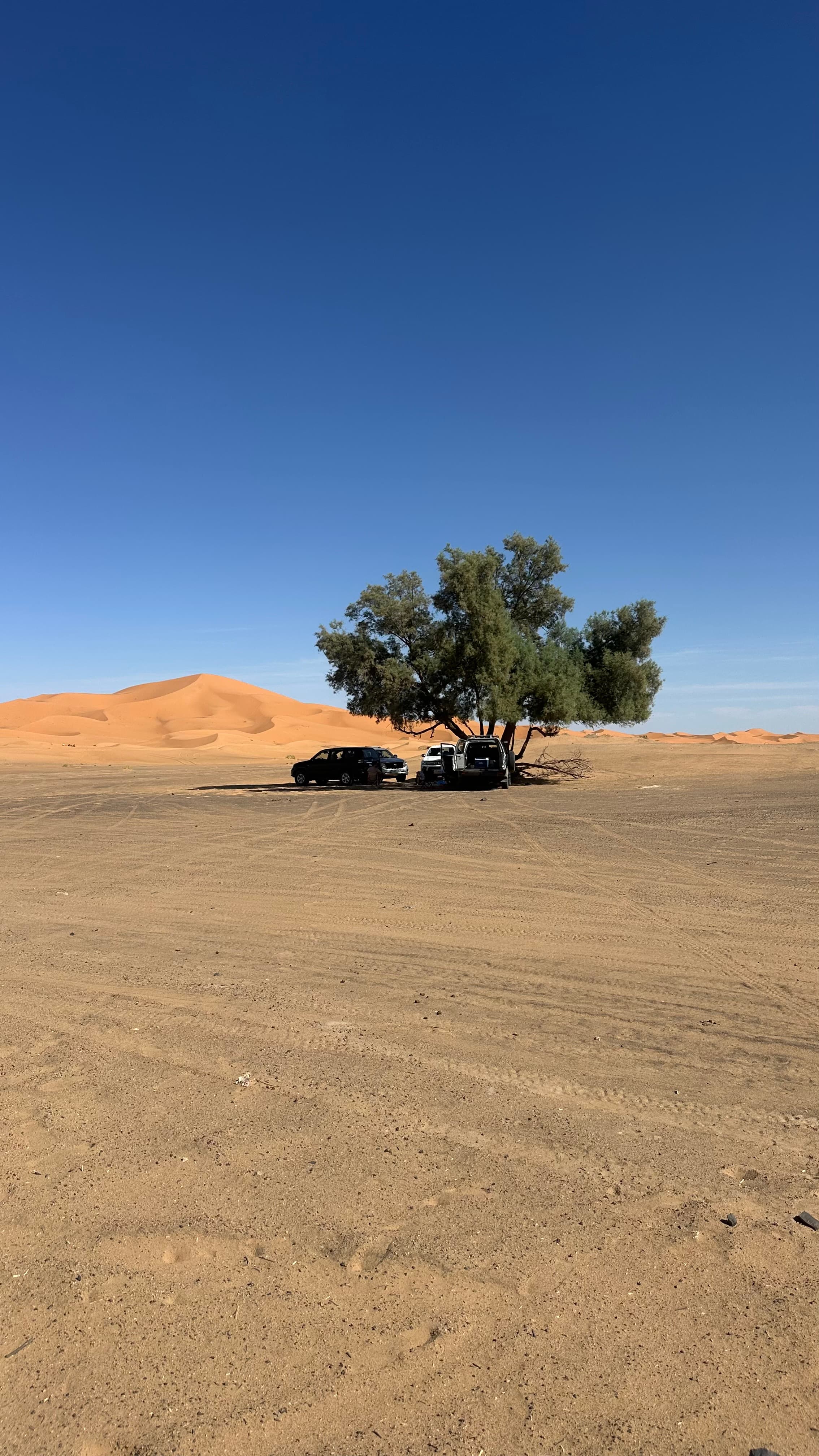 Sahara Desert landscape from Casablanca