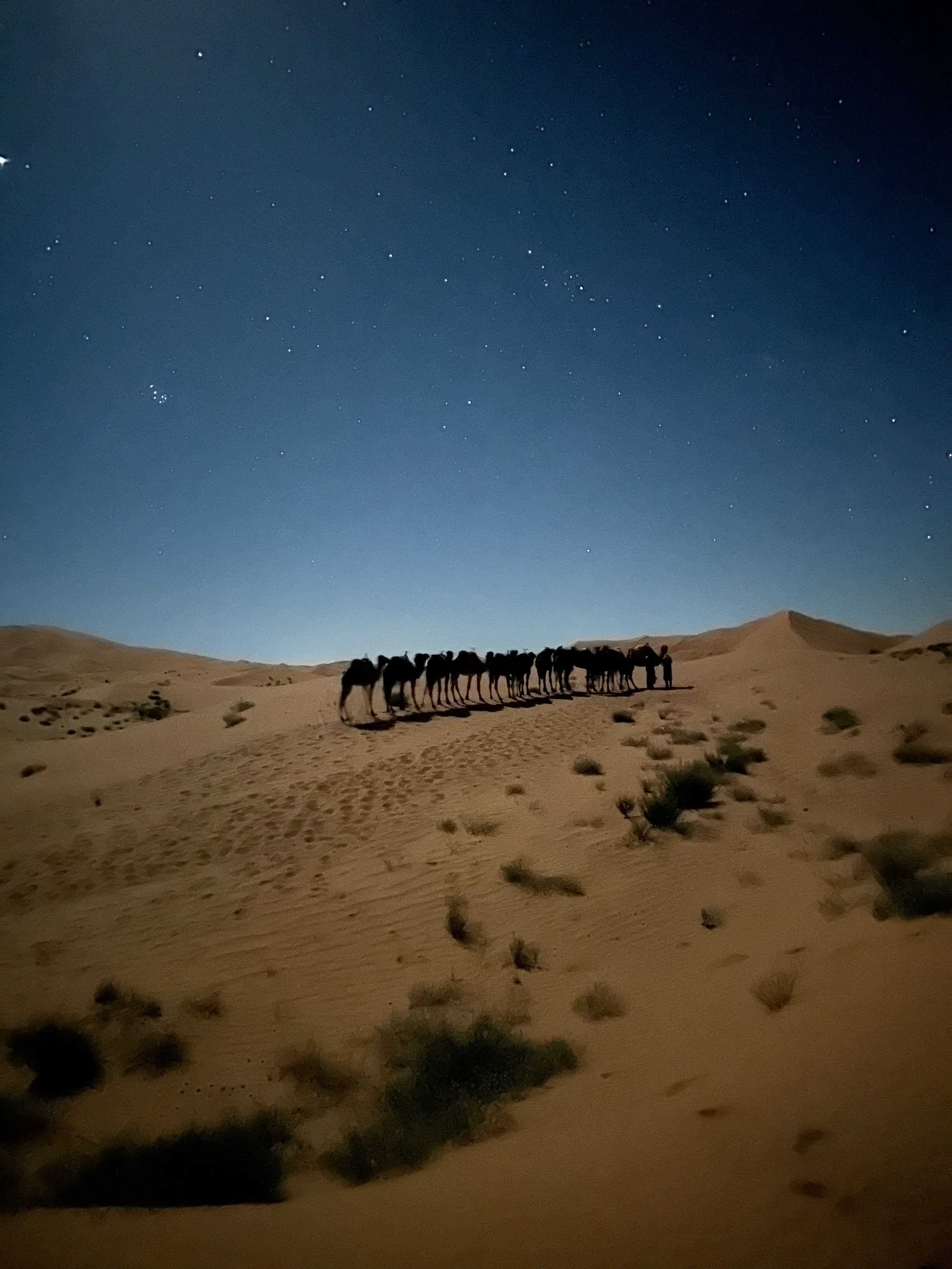 Traditional Saharan music