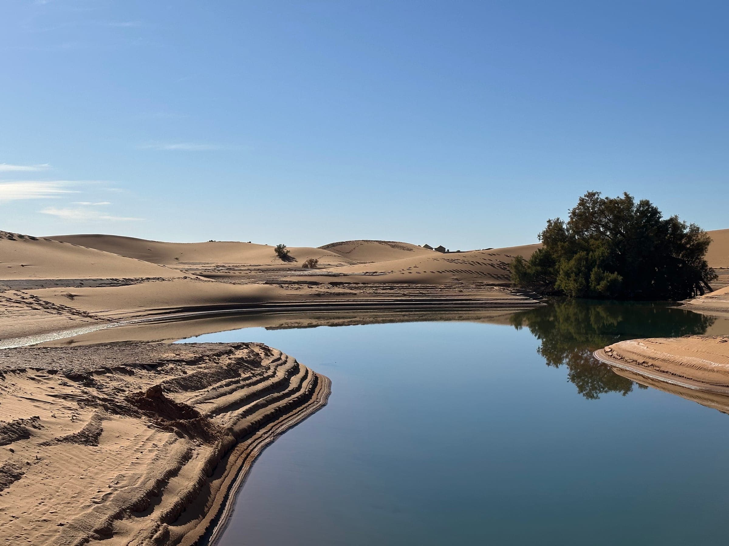 Seasonal lake among the Merzouga dunes