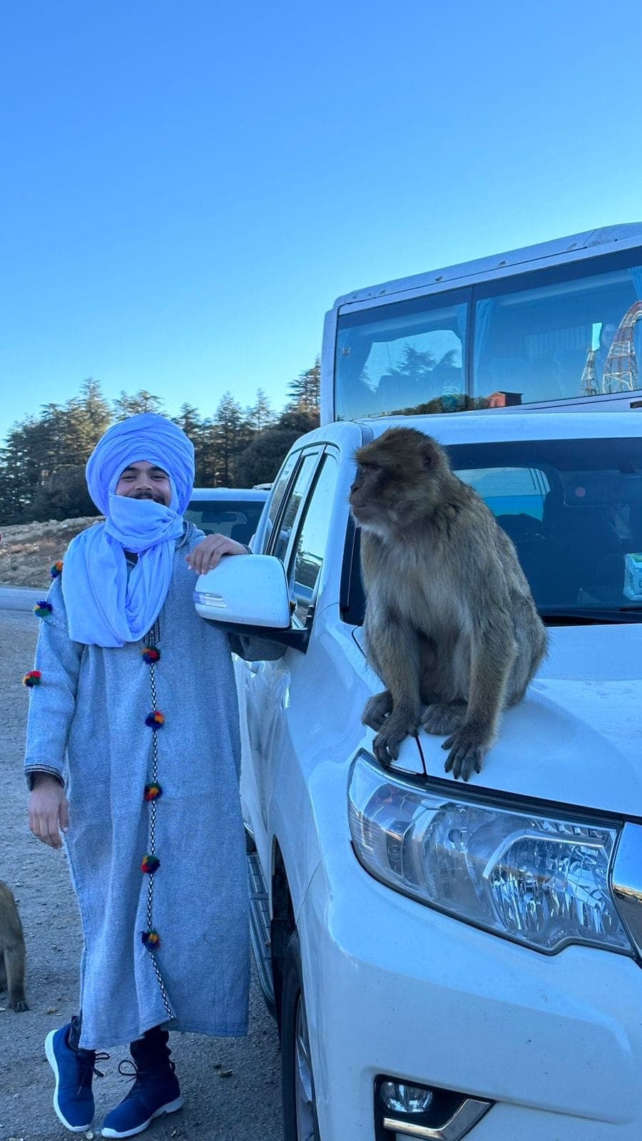 Said, Camel Trek Specialist