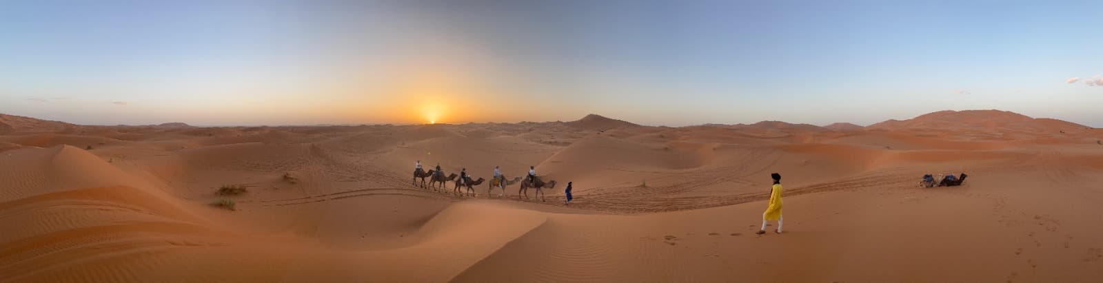 Camel caravan crossing the Sahara Desert dunes at sunset