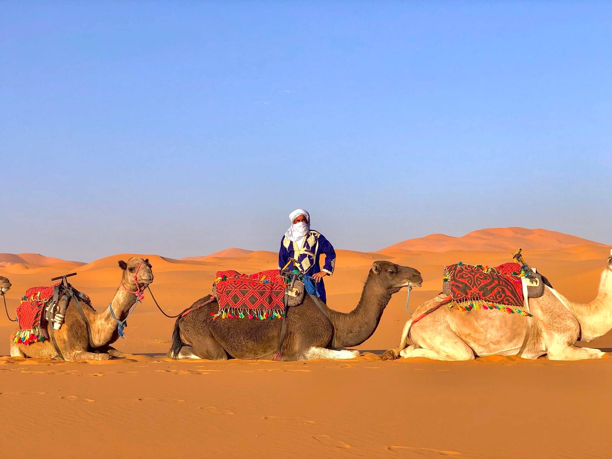 The Ancient Trans-Saharan Trade Routes