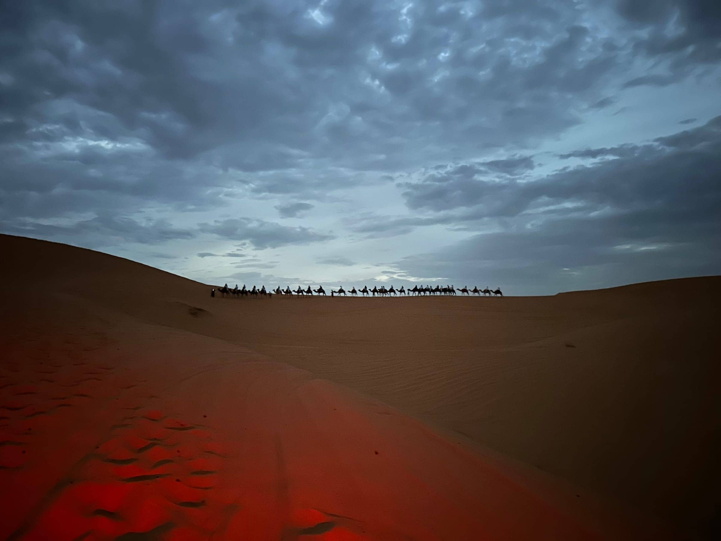 Camel Trekking in Morocco: What to Really Expect