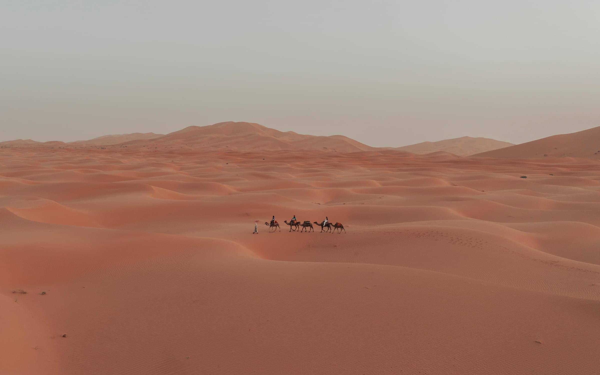 How Much Does a Sahara Desert Tour Cost? A 2026 Price Guide