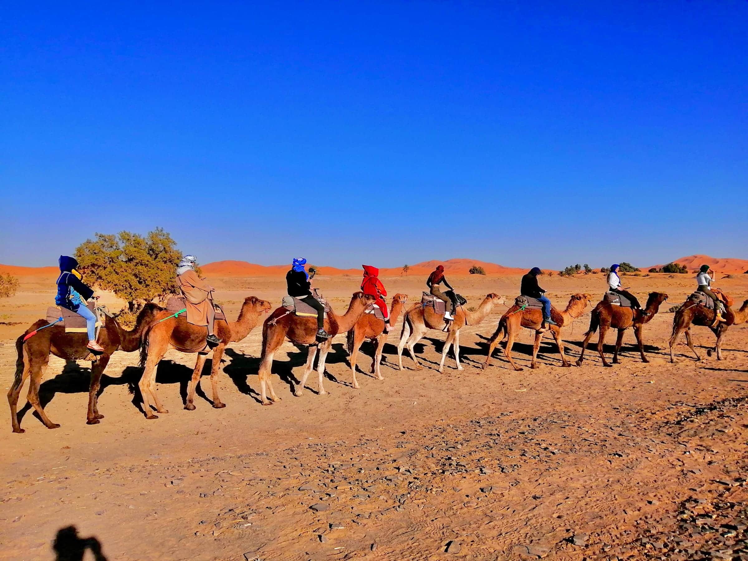 Sahara Desert landscape