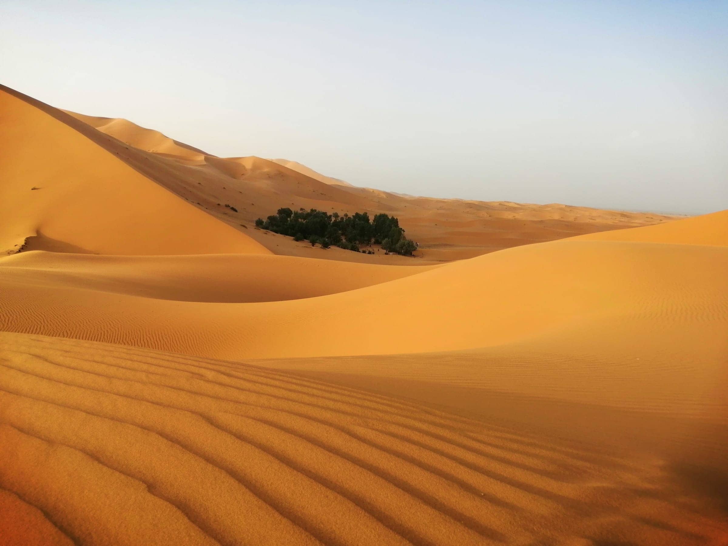 Family exploring the Sahara Desert dunes
