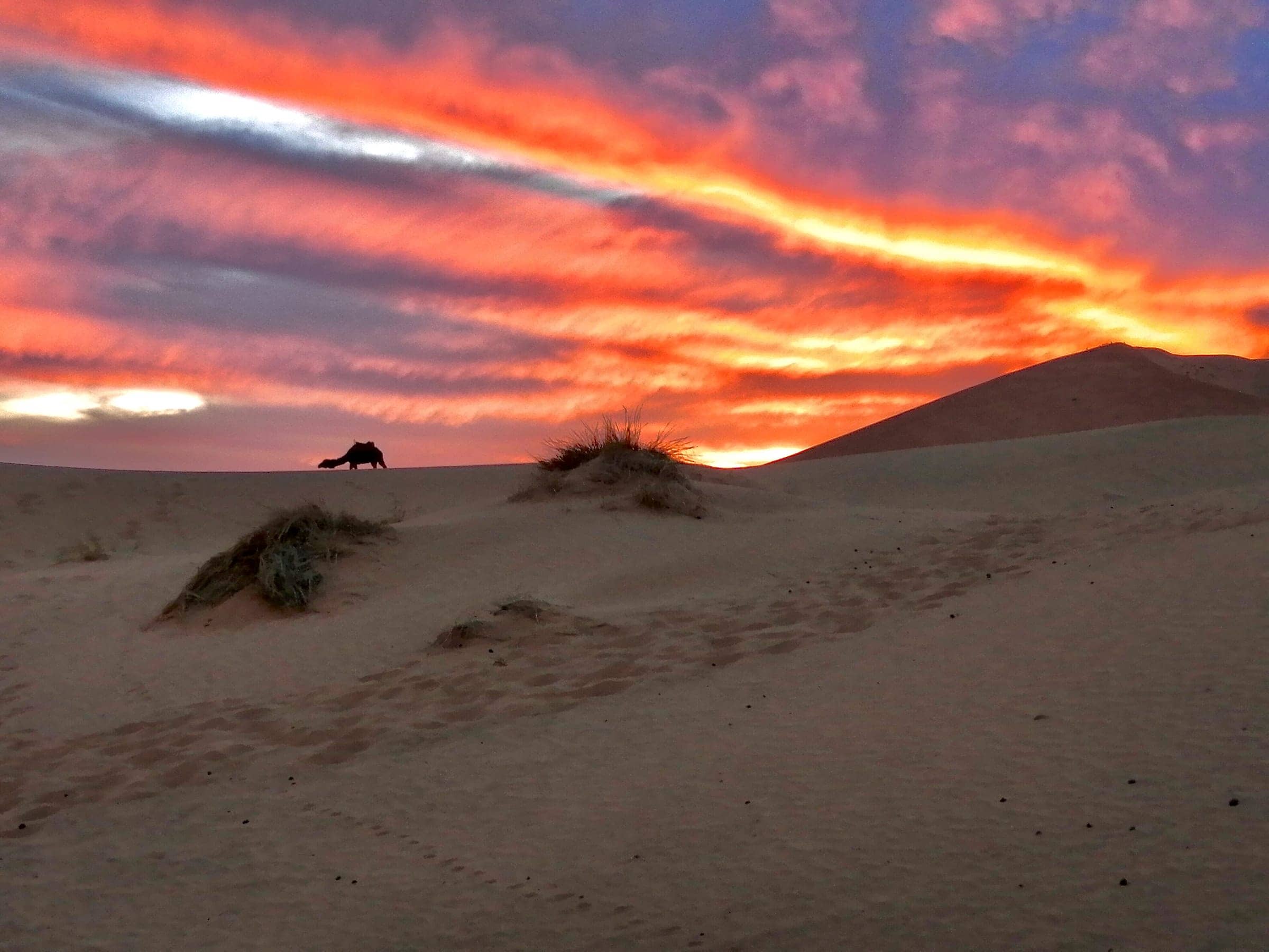 The Best Time to Visit the Sahara Desert