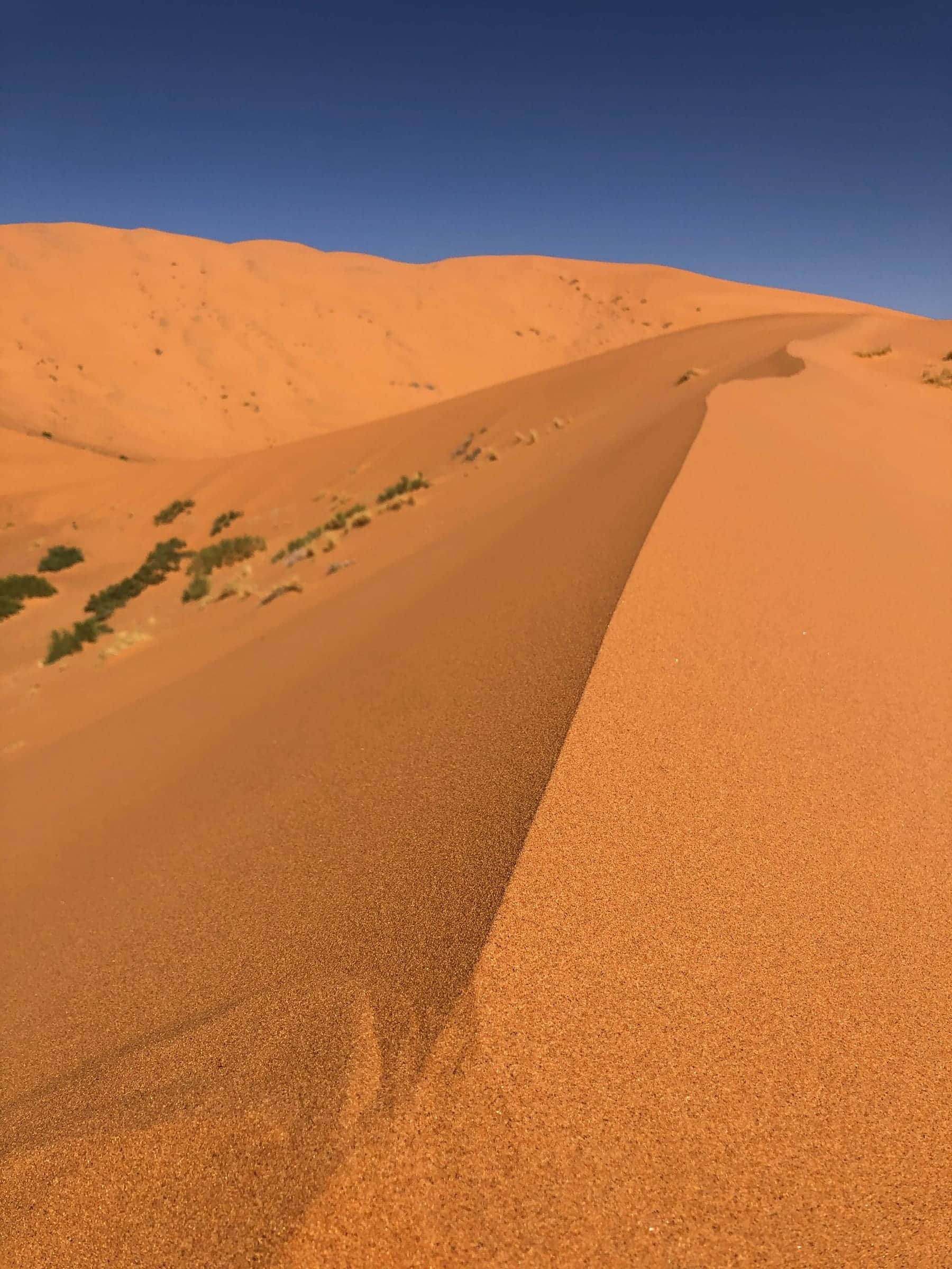 Desert fortress in Morocco