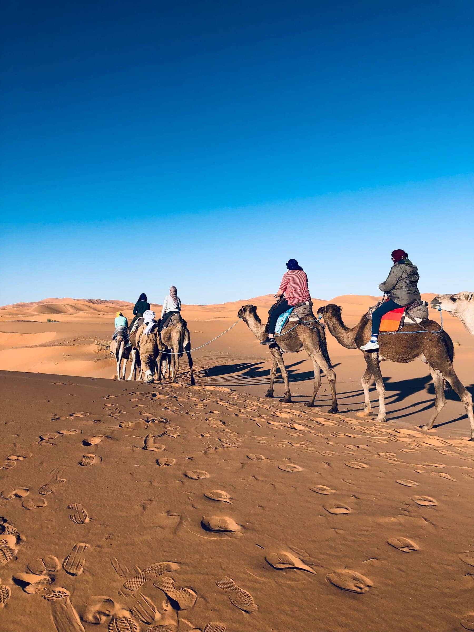 Travellers riding camels through the Erg Chebbi dunes