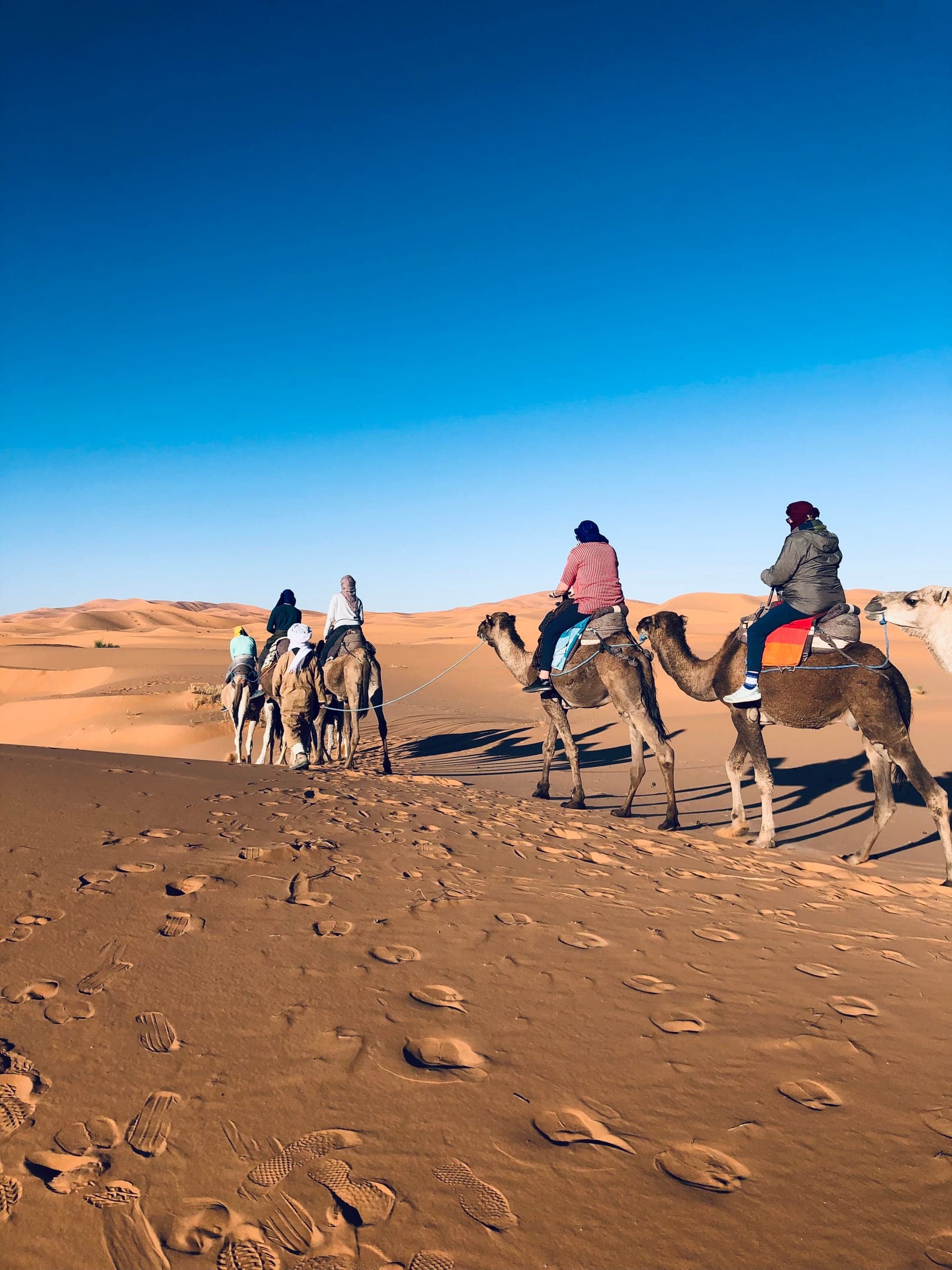 12-Day Grand Morocco Tour: Fes, Sahara Desert, Marrakech, Essaouira & Casablanca: Sahara Desert tour