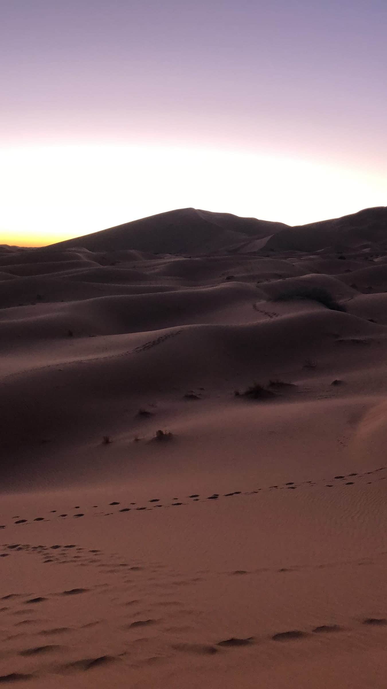 Soft evening light over the Sahara dunes