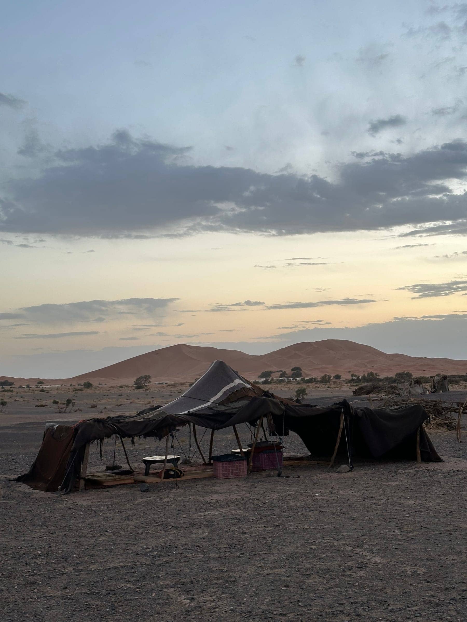 Nomad tent in the Sahara at first light