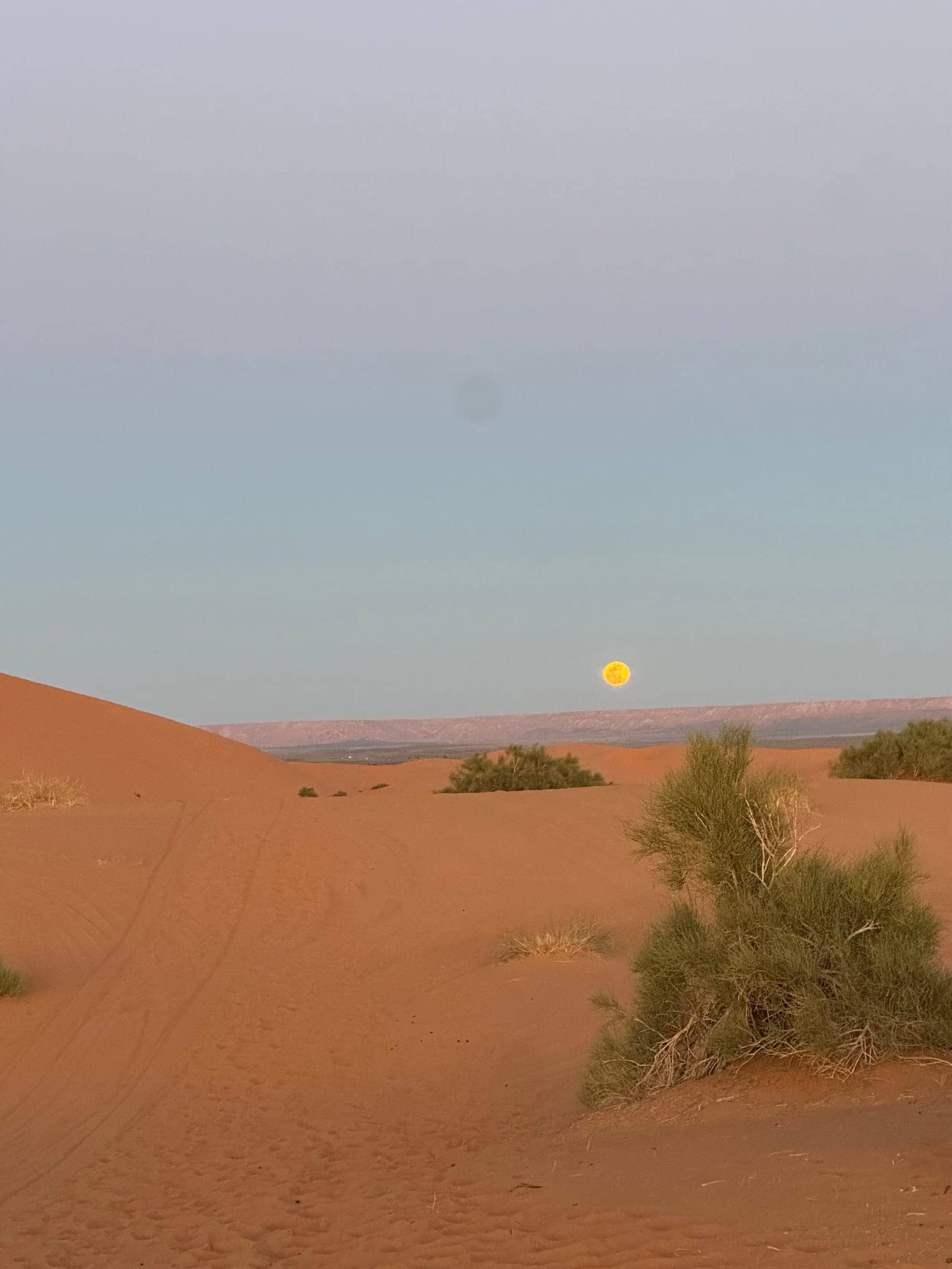 How to Travel Sustainably in the Sahara Desert