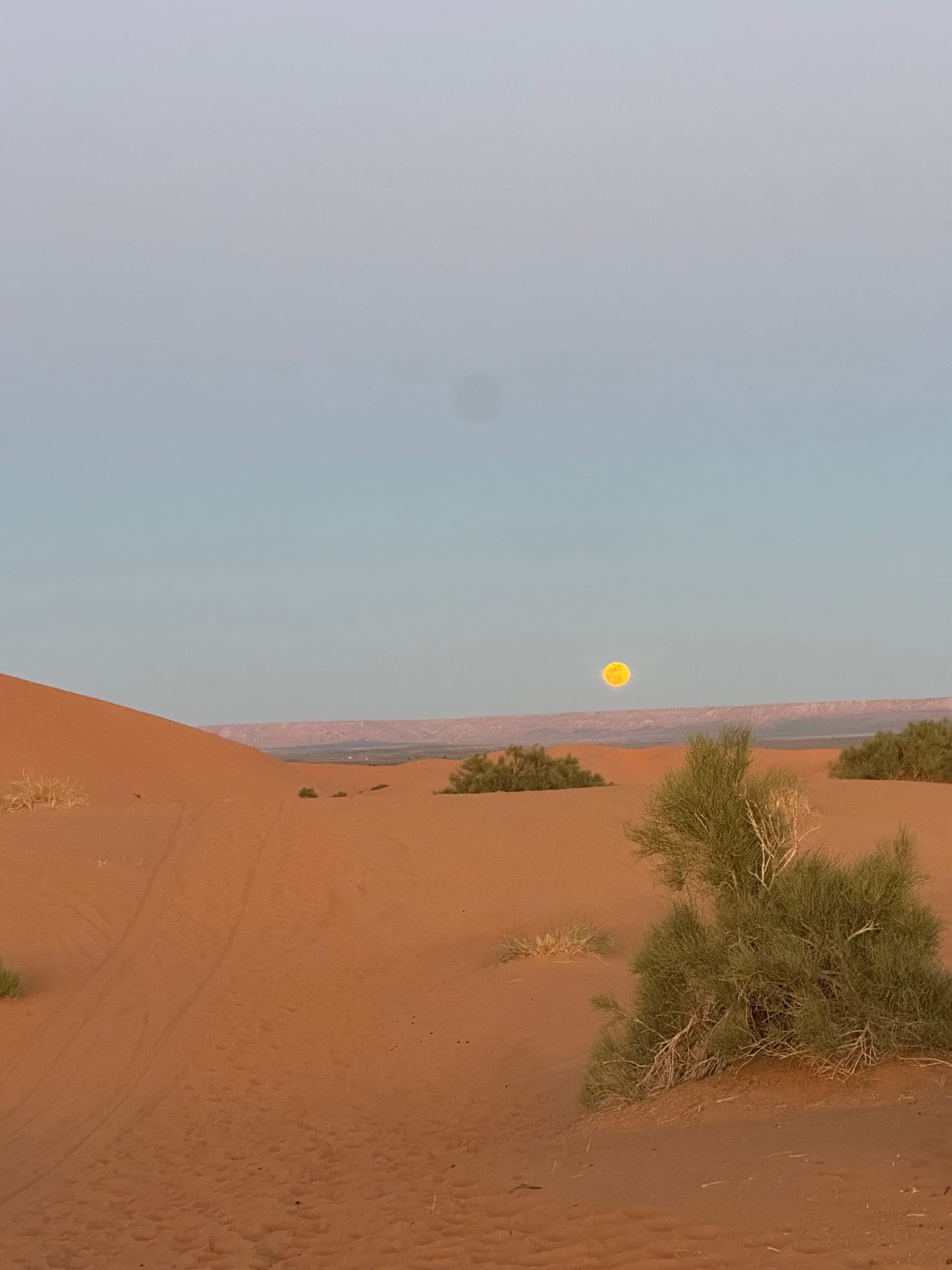 How to Travel Sustainably in the Sahara Desert