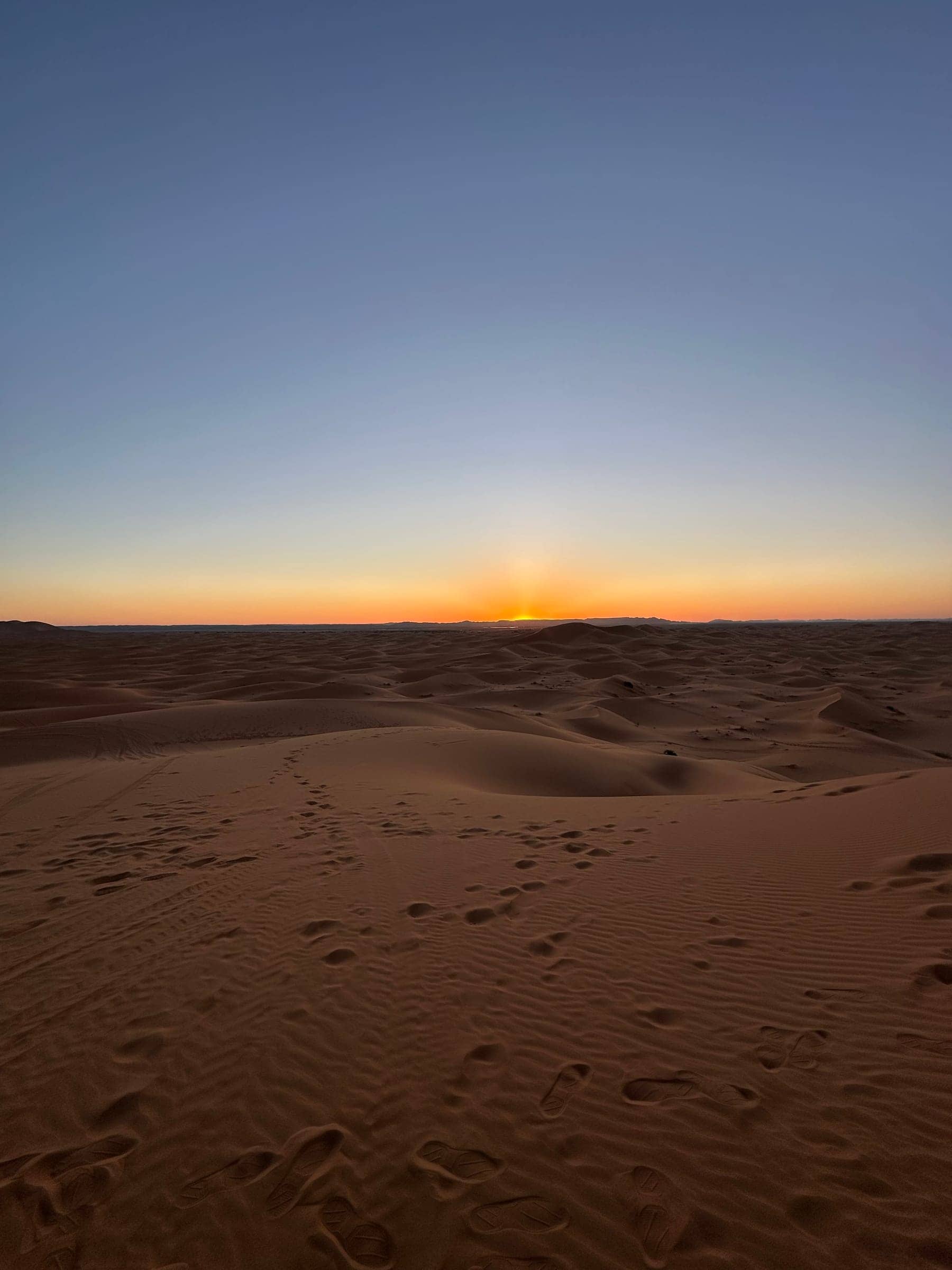 Stories from the Sahara Desert