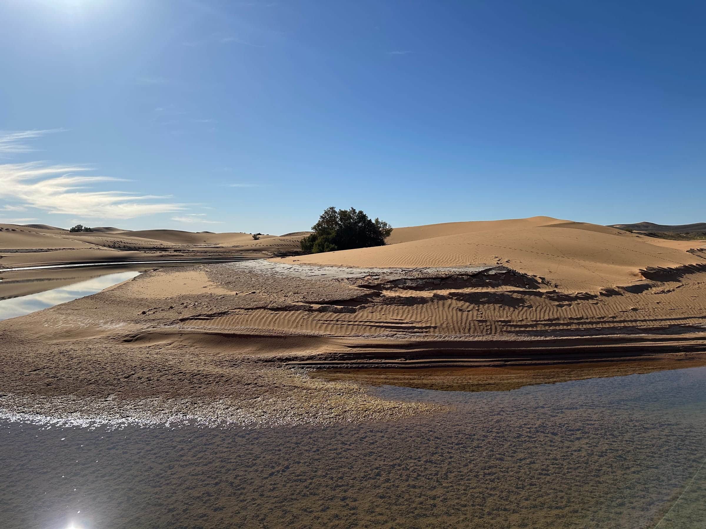 Sahara Desert landscape