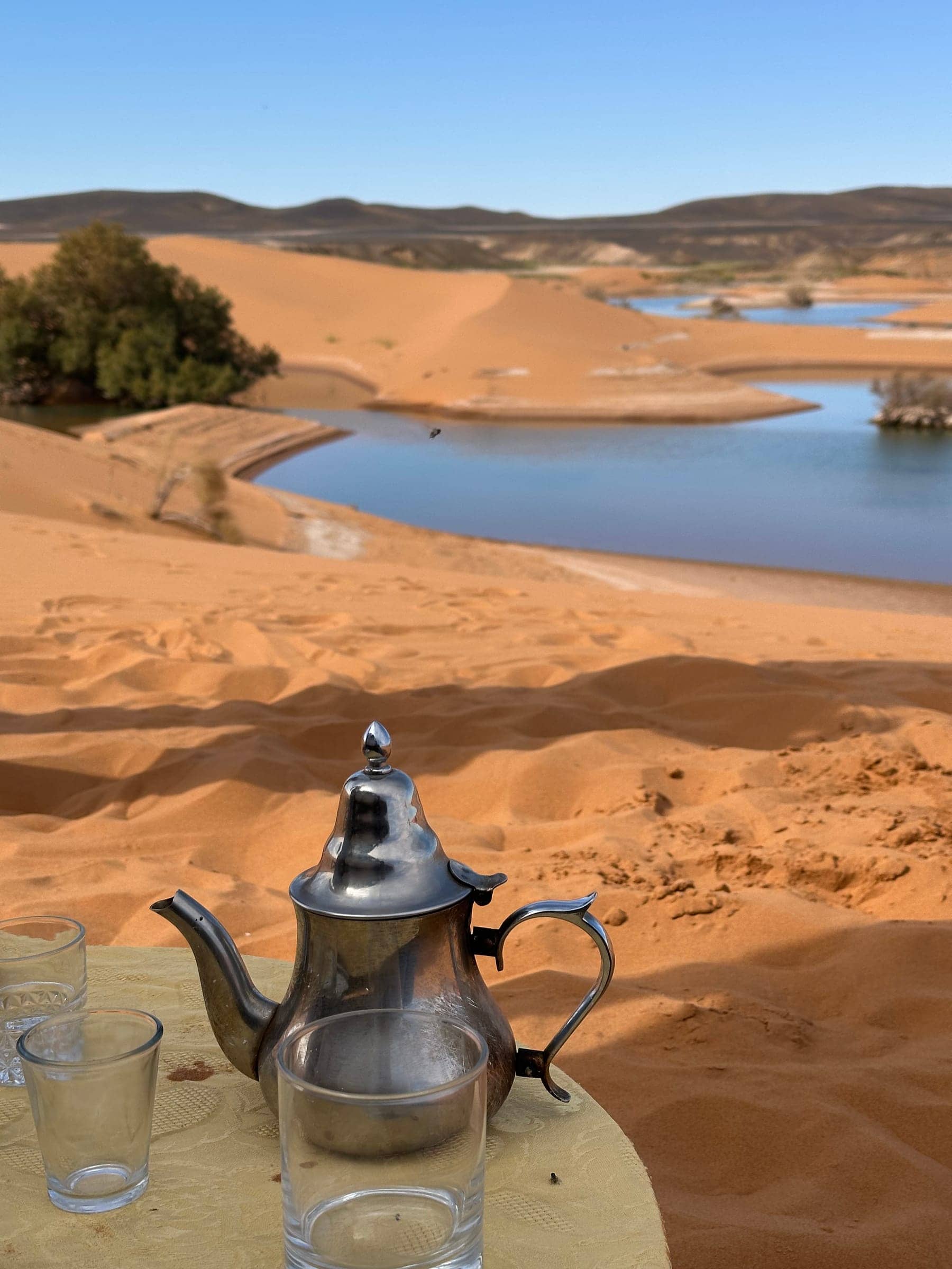Sustainable desert camp in the Sahara